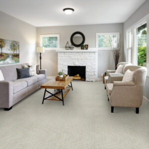 Formal Carpet for living room | Vision Flooring
