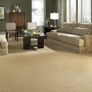 Patterned Carpet for living room | Vision Flooring