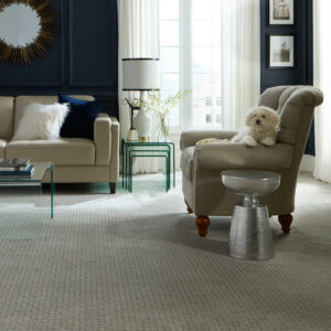 Puppy sitting on couch | Vision Flooring