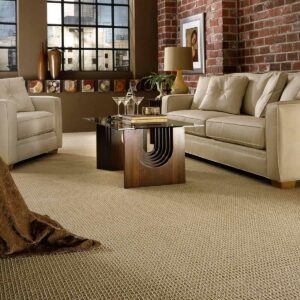 Carpet Flooring for living room | Vision Flooring