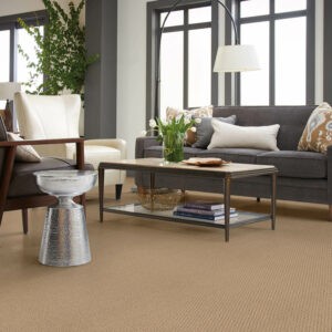 Modern Carpet for living room | Vision Flooring