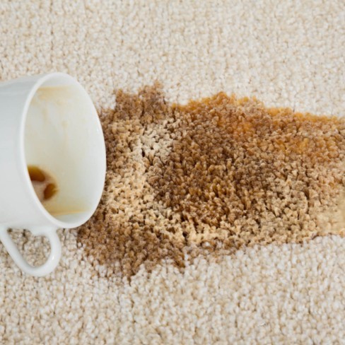 Area Rug Spill Treatment | Vision Flooring