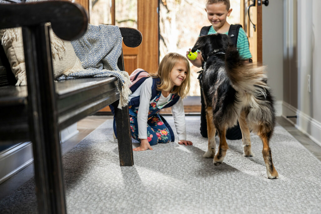 Pet & kids friendly flooring | Vision Flooring